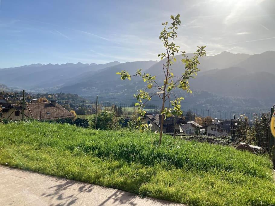 Casa Diaf Appartamento Incantevole Carano Ville Di Fiemme Luaran gambar